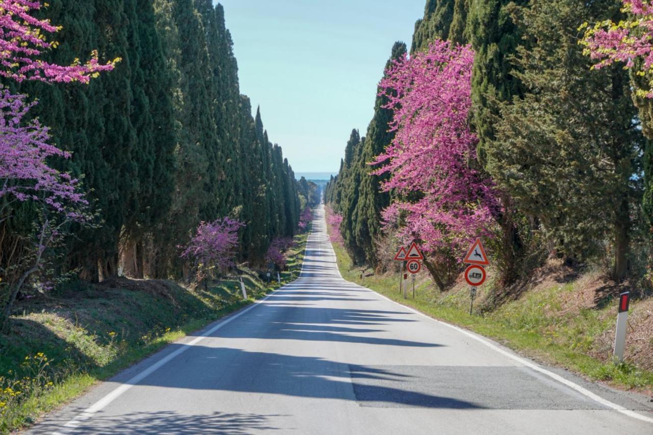 Appartamento Alcalù San Vincenzo Esterno foto